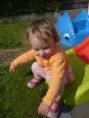 /album/fotogalerij-fotos2/allerlei-007-jpg/